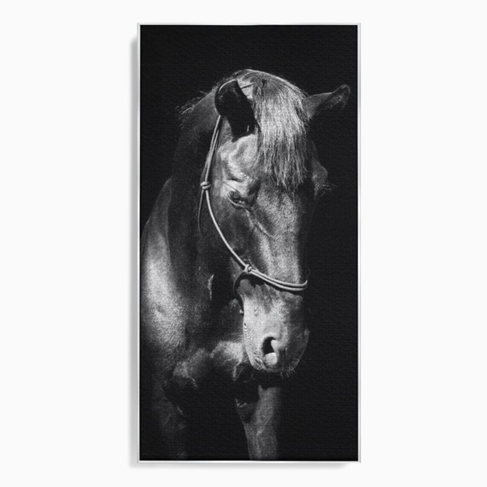 Tablou canvas cu tablou canvas cu un cal negru, in rama de aluminiu argintiu